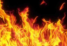 पंजाब – कैमिकल फैक्ट्री में आग, रह रह कर हो रहे हैं धमाके, कई झुलसे, Video lpg