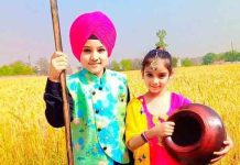 ढोल की थाप पर डिप्स के विद्यार्थियों ने मनाया बैसाखी का त्योहार students