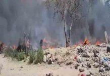 झुग्गी झौंपड़ी में भीषण आग, चपेट में आई गोशाला में 100 से ज्यादा गायें जिंदा जलीं goshalas