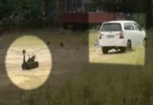 बब्बर खालसा इंटरनेशनल के 4 आतंकी Arrest, हथियार और बारूद के कंटेनर बरामद, पंजाब के इन शहरों के हैं आतंकी karnal