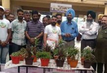 जालंधर बस स्टैंड पर विश्व पर्यावरण दिवस 2022 समारोह का आयोजन Environment