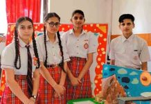 सोशल साइंस विषय पर डिप्स के विद्यार्थियों ने बनाए वर्किंग-नॉन वर्किंग मॉडल्स working