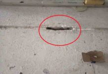 पंजाब की इस जेल के कैदियों से मिले मोबाइल, ऐसी जगह छिपाए थे मोबाइल जिसके बारे जान कर हो जाएँगे हैरान recovered