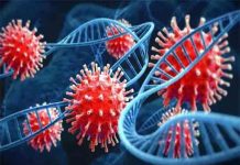 फिर फैलने लगा कोरोना वायरस, अब तक इतने पॉजिटिव केस आए सामने health