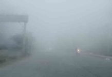 पंजाब में कोल्ड-डे का रेड अलर्ट, नवांशहर में पारा ज़ीरो डिग्री punjab