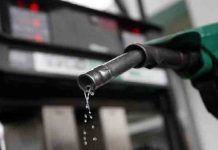 पंजाब में डीज़ल, LPG की किल्लत का संकट! 29 फरवरी पैट्रोल पंप खुलेंगे या नहीं? एक क्लिक में जानें सब fuel