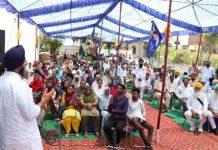 आप सरकार पर बरसे Bikram Singh Majithia, मंत्री लाल चंद कटारूचक को लेकर कही ये बात SAD