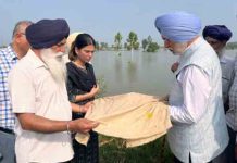 कपूरथला – सुल्तानपुर लौधी पहुंचे DC Captain Karnail Singh, गिरदावरी कार्य का लिया जायजा, ऑफिसर को दिए ये निर्देश kapurthala