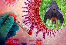 इस राज्य में Nipah Virus की दहशत, स्कूल बंद, Lockdown जैसी पाबंदीयां लागू nipah