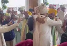 Video – Raghav Chadha की शादी पर CM Bhagwant Mann, CM Arvind Kejriwal ने डाला भांगड़ा bhagwant