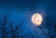 7 सितंबर को लगेगा चंद्र ग्रहण, ये होगी सूतक काल की टाइमिंग, इन बातो को रखें ध्यान chandra