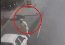 जालंधर – हाईटेक नाके पर तैनात ASI को तेज रफ्तार कार ने उड़ाया, देखें दिल दहला देने वाला Video punjab