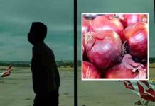 बेटे के पास गए पिता को मंहगा पड़ा 1KG प्याज Australia ले जाना, लगा 2 हज़ार डॉलर जुर्माना, जानें हैरान करने वाला मामला father