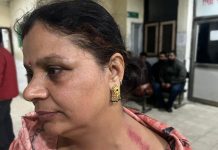 जालंधर में गुंडागर्दी! शादी समारोह से लौट रहे परिवार पर रईसजादों का हमला, महिला को बालों से खींचा bullying