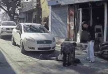 जालंधर में दिल दहला देने वाला हादसा, युवक के ऊपर से गुजरी कार, Video jalandhar