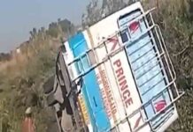 जालंधर में बड़ा हादसा! सवारियों से भरी बस हाईवे पर पलटी, मची चीखोपुकार, देखें वीडियो bus