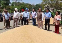 अतिरिक्त मुख्य सचिव ने फगवाड़ा अनाज मंडी में गेहूं खरीद का लिया जायजा, किसानों और आढ़तियों ने खरीद, लिफ्टिंग और भुगतान पर संतोष जताया additional