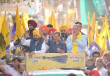 अरविंद केजरीवाल और भगवंत मान ने पटियाला में डॉ. बलबीर सिंह के लिए किया प्रचार cm