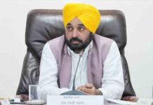 CM Bhagwant Mann Cabinet Meeting में लिए ये अहम फैसले punjabis