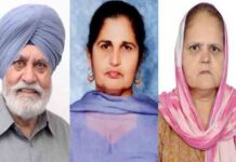 कनाडा में भीषण सड़क हादसा! परिवार के 4 लोगों की मौत, पंजाब के इस जिला का था परिवार canada