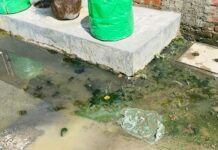 नगर निगम की कारगुजारी से परेशान हैं जालंधर के शेर सिंह कालोनी के लोग, दी ये चेतावनी