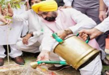 CM Bhagwant Mann ने किया पौधारोपण अभियान को जन आंदोलन बनाने का आह्वान cm