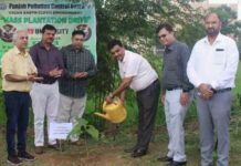 पीपीसीबी और डीएवी यूनिवर्सिटी ने कराया कैंपस में वृक्षारोपण dav