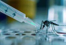 खत्म हो जाएगा डेंगू का आतंक! Vaccine अब दूर नहीं, शुरू हुआ ह्यूमन ट्रायल icmr