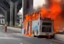 Thailand में बड़ा हादसा! School Bus में आग, 25 Student की मौ+त thailand