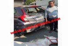 जालंधर में बड़ा हादसा! लोगों से टकराए दो बेकाबू घोड़े, एक घोड़े की मौत, कई लोग घायल, वाहन क्षतिग्रस्त accident