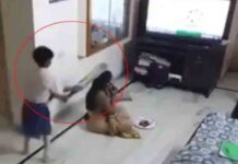 मोबाइल छीनने पर बच्चे ने बैट से फोड़ दिया मां का सिर, देखें भयानक Video hit
