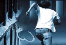 Jalandhar : पुलिस कस्टडी से भागा शातिर अपराधी, मचा हड़कंप grp