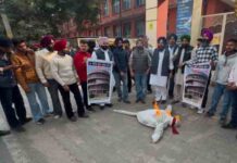सोई सीनेट चुनाव की बहाली तक संघर्ष जारी रखेगी-सुखजिंदर औजला सरकारी कालेज के बाहर केंद्र सरकार का पुतला फूंका