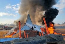 दक्षिण कोरिया में लैंडिंग के समय रनवे पर फिसला विमान, जिंदा जले 179 लोग