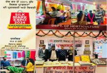 सिल्क मार्क एक्सपो-2024 ने तोड़ा रिकॉर्ड, 9 दिसंबर तक जारी रहेगा एक्सपो-2024 mark