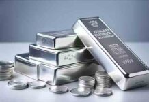 सिल्वर ज्यूलरी के खरीदारों के लिए जरूरी खबर! सरकार कर रही ये प्लान silver