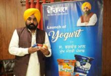 CM Bhagwant Mann के प्रयासों से और मजबूत हुआ ‘Milkfed’, Verka ब्रांड की सरदारी कायम, प्रतिदिन 12.66 लाख पैकेट दूध बेचा cm