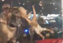 Kerala News : मंदिर में उत्सव के दौरान भड़क गया हाथी, लोगों को सूंड से उठा-उठा कर पटका, 17 जख्मी, देखें VIDEO elephant