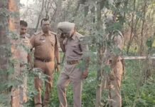 जालंधर में दिन निकलते ही चली गोलियां, Rozer Sandhu के घर ग्रेनेड अटैक करने वाले जख्मी influencer