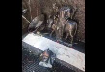 जालंधर के प्राचीन मंदिर में शनिदेव की मूर्त्ति तोड़ने वालों पर कमिश्नरेट पुलिस का सख्त एक्शन lord