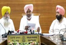 बैलों की दौड़, टीचरों की भर्ती… मान कैबिनेट ने लिये ये बड़े फैसले punjab