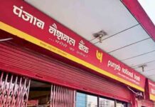 PNB खाताधारकों के लिए अहम खबर, 8 अगस्त तक कर लें ये काम, नहीं तो… important