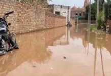 पंजाब के इन 6 जिलों में बाढ़, सतलुज-रावी उफान पर, बच्चों-बुजुर्गों समेत 600 लोगों को किया रेस्क्यू flood