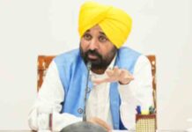 पंजाब में अब तक पराली जलाने के मामलों में आई रिकॉर्ड कमी – मुख्यमंत्री punjab