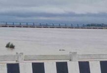 पंजाब के सभी जिलों में बाढ़, राज्य आपदा प्रभावित घोषित, घग्गर, सुखना, सतलुज सभी उफान पर, मोहाली में भी अलर्ट punjab