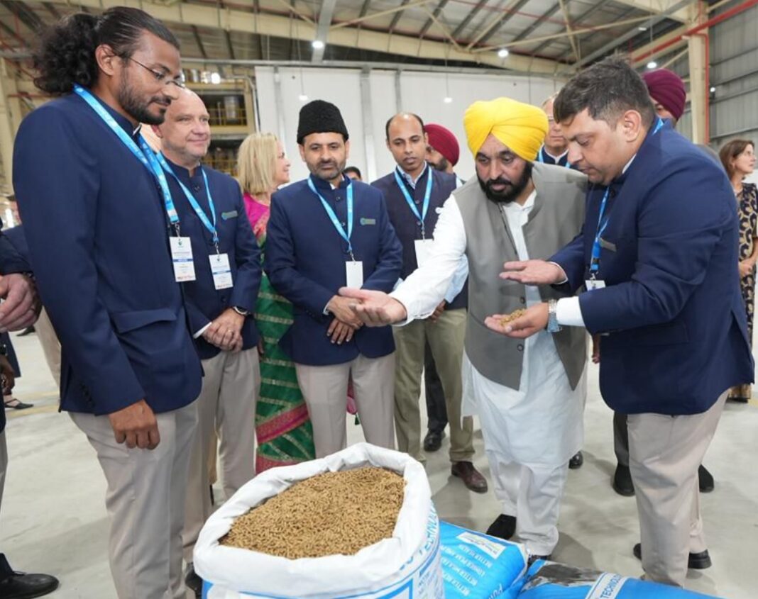 punjab
