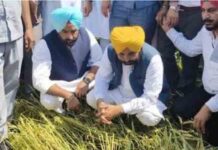 सीएम के ध्यान में है हर किसान, समस्याओं का हो रहा तुरंत समाधान: “अपना CM – अपने खेता विच” – जब मुख्यमंत्री खुद खेतों में पहुंचकर सुलझाते है किसानों की समस्याएं punjab