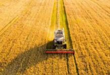 पंजाब में पराली जलाने की घटनाएं 75% घटी, फिर भी भाजपा और दिल्ली सरकार के निशाने पर पंजाब का किसान क्यों?