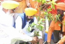 पिछली सरकारों की 20 साल की लापरवाही पर लगाम, AAP सरकार ने बढ़ाया पंजाब का ट्री कवर 177.22 वर्ग किमी!