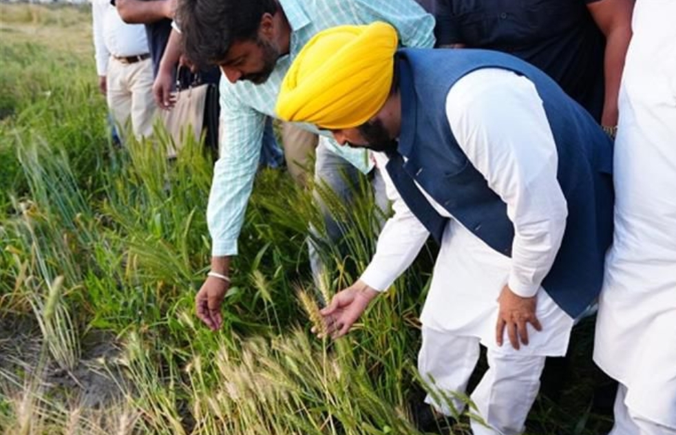 Screenshot_2025-11-16-17-12-18-42_7352322957d4404136654ef4adb64504